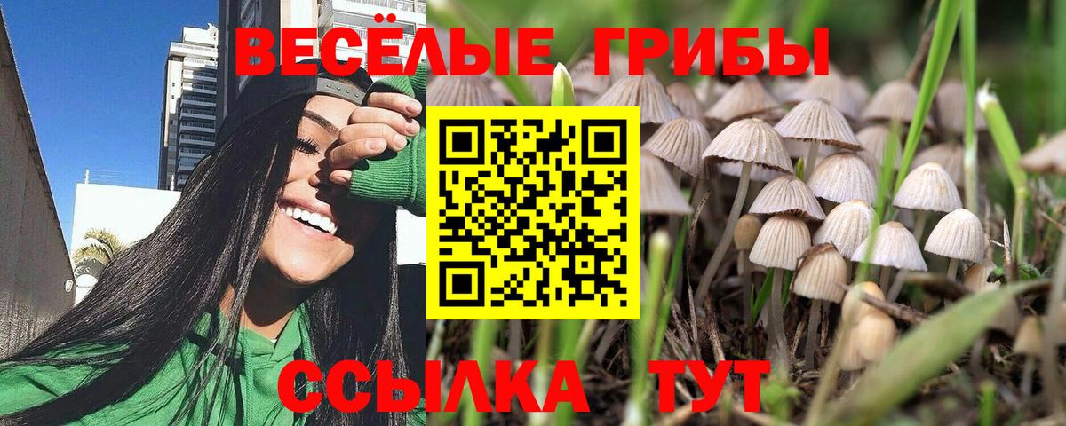 Псилоцибиновые грибы мицелий  Вход с VPN  Крымск 